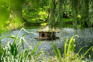 Grounds- click for photo gallery